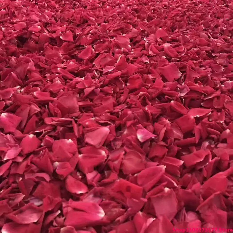 Sa35585d16ed343ec902e57d38edb47d9o