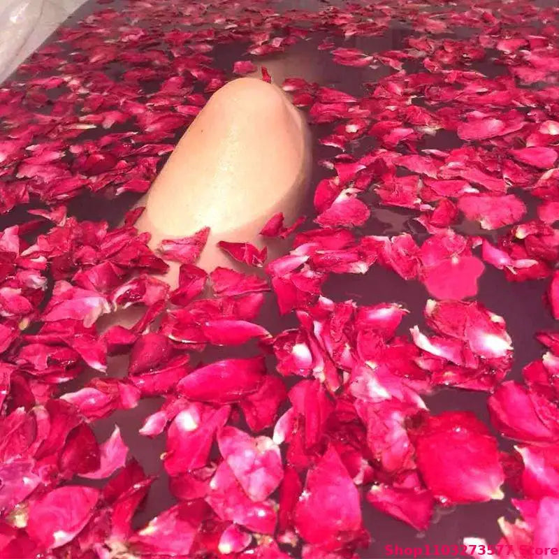 Sdf96e425f14a4af58f8becd510702acdB